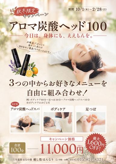 アロマ炭酸ヘッド100【コース組み合わせ自由】