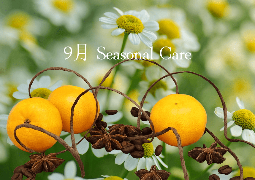 9月　Seasonal Care 〜これから迎える秋に向けて～　