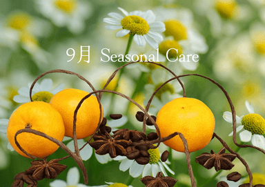 9月 Seasonal Care  Bodyのみ