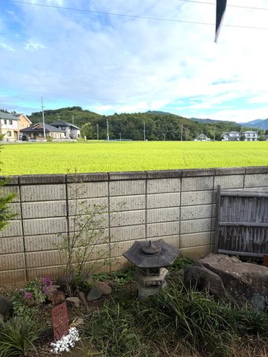 【通常メニュー】国産無農薬よもぎの足湯　20分