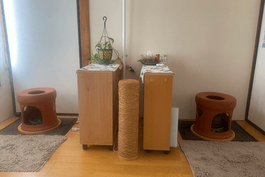黄土よもぎ蒸し＋足裏中心コース 60分