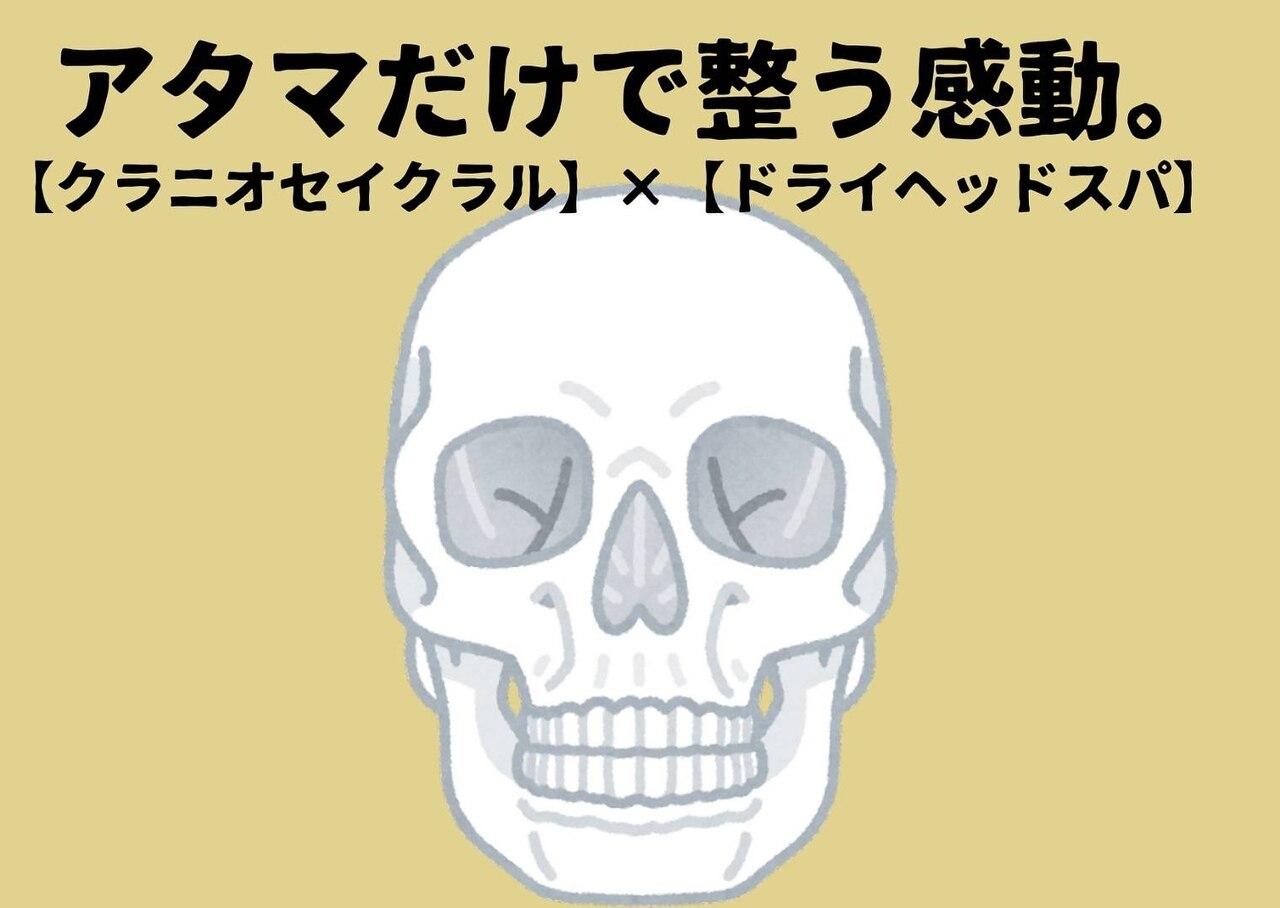 尾田担当【アタマの内側から整える】進化系ドライヘッドスパ 40分