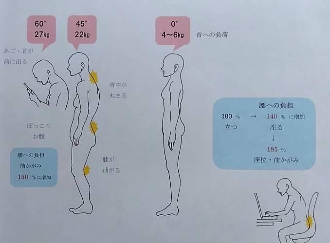 シャキッ！と【猫背改善・お尻引き上げ】ﾄﾚｰﾆﾝｸﾞ《初回(問診含む)90分》  圧痛・動作確認 → 運動