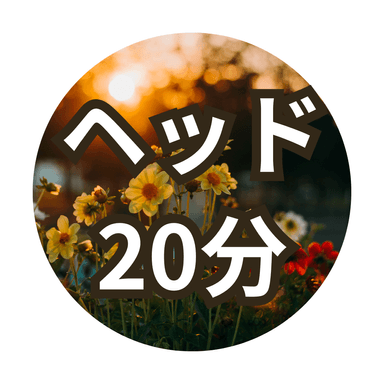 【20分】ヘッドスパ（ドライ）