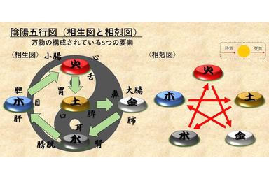 姓名選定（60分）