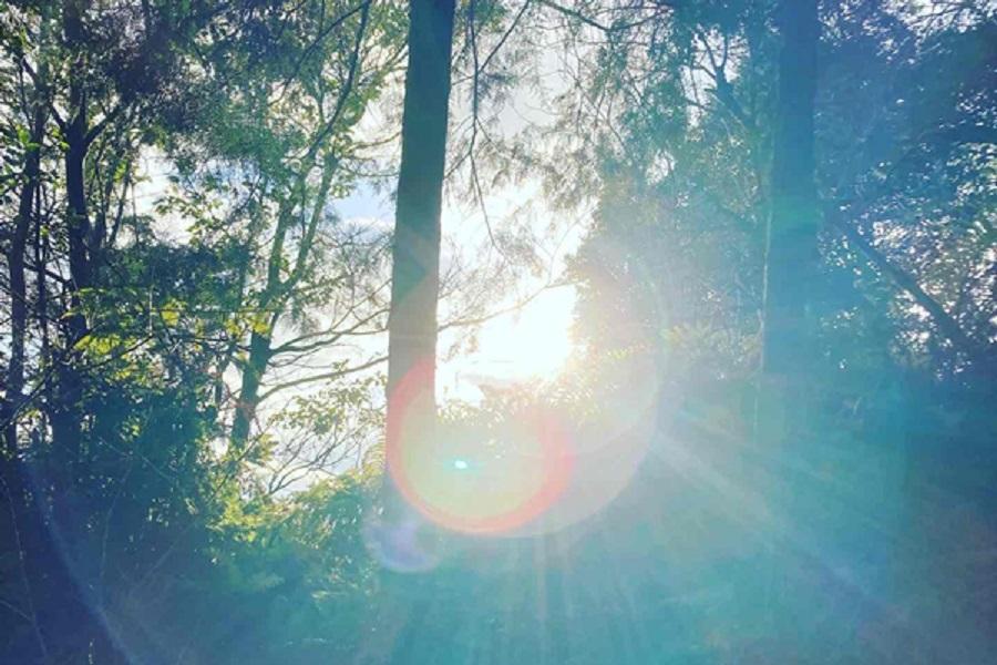 日帰り　太陽の光～ルミエル～180分