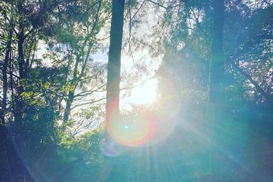 日帰り　太陽の光～ルミエル～180分