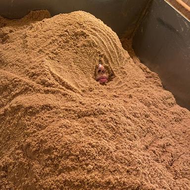 【疲労回復】冷え改善に♪温活リセットプラン☆体質調整木浴+お顔ほっこりパック