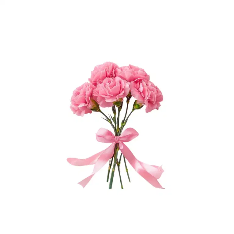 《平日》【母の日体質プラン 5/1~5/17】　滞在時間90分