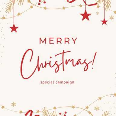 【期間限定】クリスマスBコース