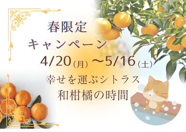 2026春キャンペーントリートメント＋ヘッドセラピー８０分