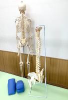 骨盤整体＋EMSトレーニング 60分【お得！】