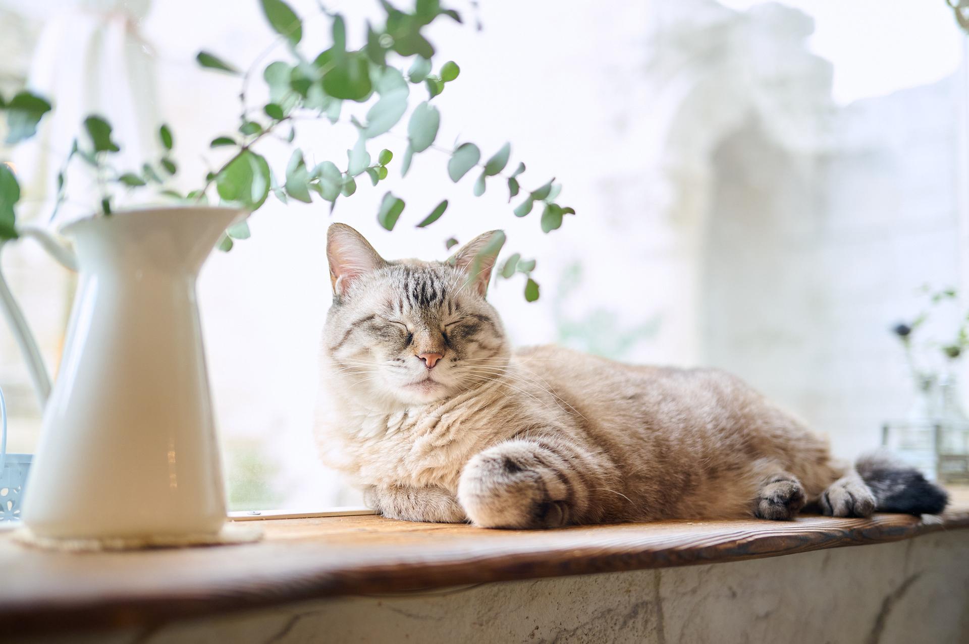 VIO(女性のみ) 30分