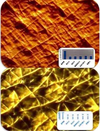 【根本から肌質を変えたい方に！】肌質改善プレミアムコース