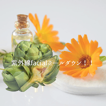 紫外線faicialクールダウン 【毛穴を綺麗にフレッシュに！カレンデュラ＆アーティチョークトリートメント/引き締めパック】