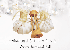 『一年の始まりをシャキッと！』Botanicall ball 　Bodyのみ