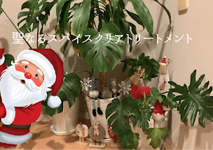 聖なるスパイスクリアトリートメント　『Body＆facial』150分