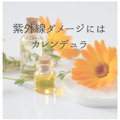 紫外線皮膚ダメージには【カレンデュラ】毛穴を綺麗にフレッシュに/カレンデュラフェイシャル/カレンデュラパック