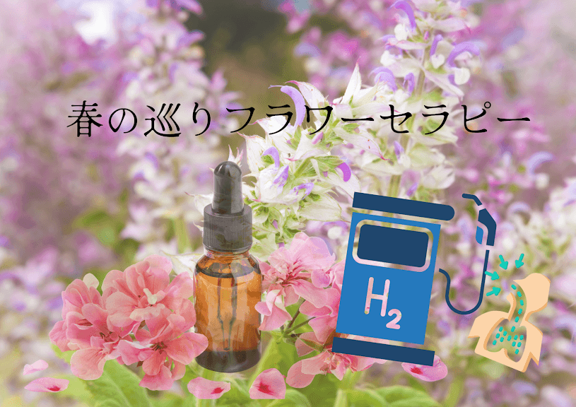 春の巡りフラワーセラピー 90分（身体の巡りを整えインナーケア）