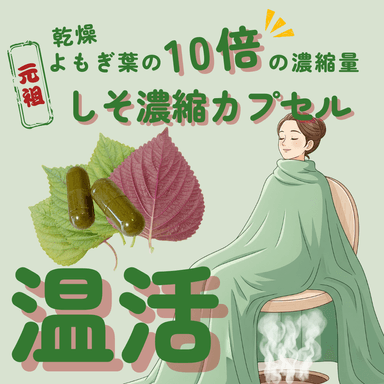【お試し温活】しそ蒸し×深部ｵｲﾙ（部位選べる）｜冷えと凝りをWｹｱ/冷え・PMS・むくみ｜9０分