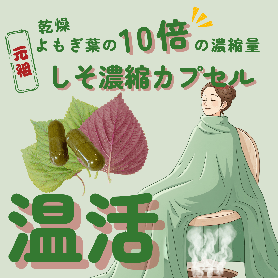 【お試し】よもぎ蒸しを超える「しそ蒸し」とﾄﾞﾗｲﾍｯﾄﾞｽﾊﾟのｾｯﾄ｜緩める+温活・PMS・更年期ｹｱ｜60分