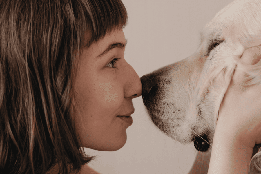 ぺットと飼い主さんのためのセッション遠隔セッション 120分