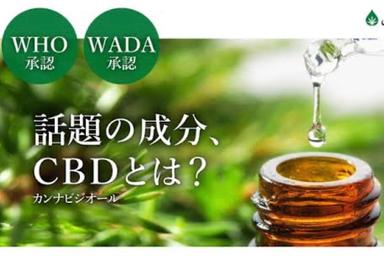 【全員OK】【痛頭・安眠・自律系統を整え】CBDサプリ摂取+CBD美容液 トリートメント 60分
