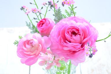 【香りとおしゃれを楽しみつつ健康に痩せる】ハーブテント × 水素吸入30分×耳つぼリフレ付きジュエリー6個まで