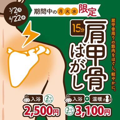 月・火・水曜日限定！【入浴のみ】入館パック肩甲骨はがし！