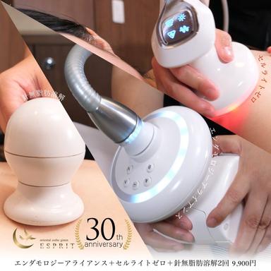 脂肪撃退セルゼロ全身コース　90分 