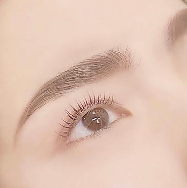 【初回】美眉スタイリング+毛流れ矯正 90分