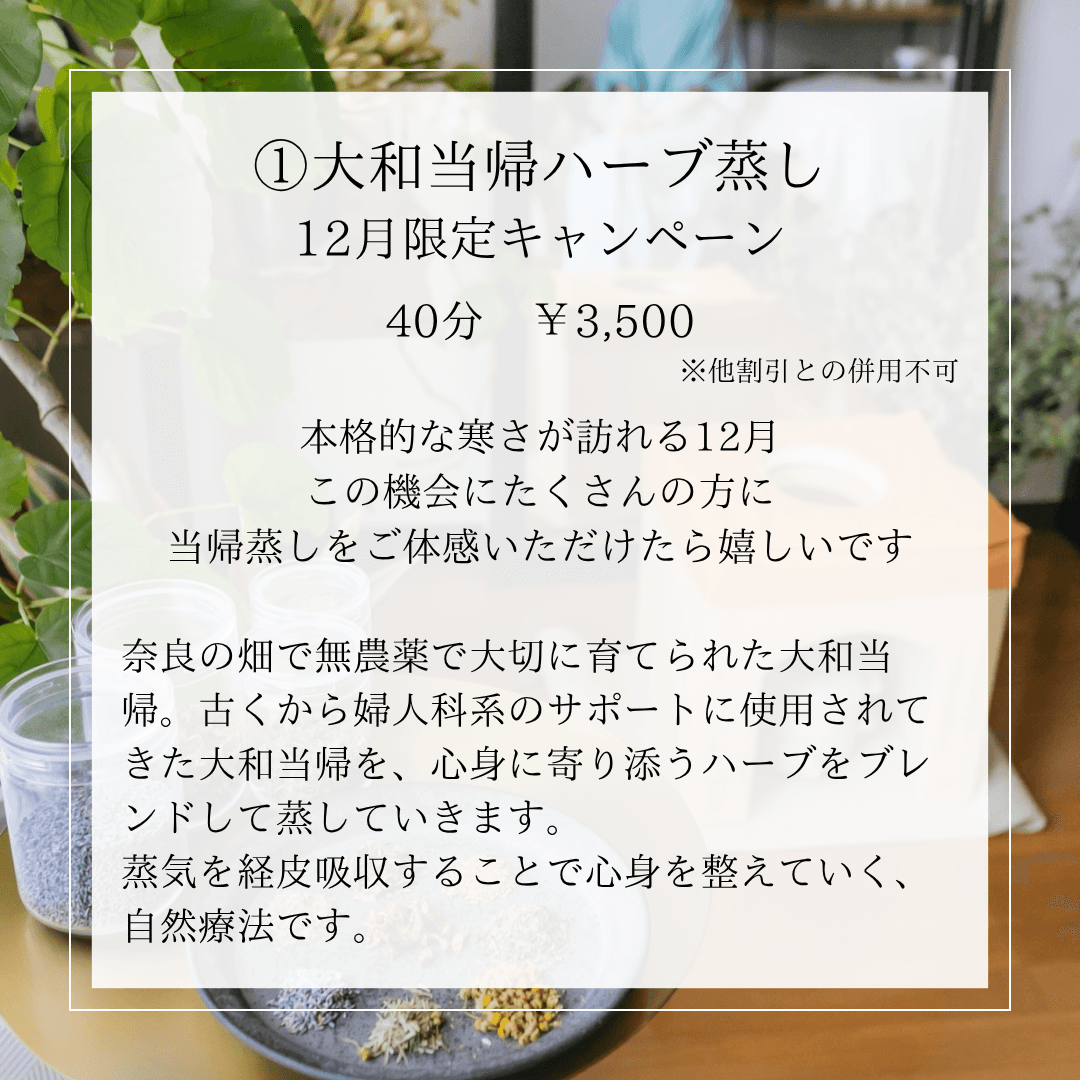 【12月限定価格】大和当帰ハーブ蒸し