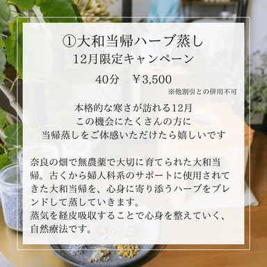 【12月限定価格】大和当帰ハーブ蒸し