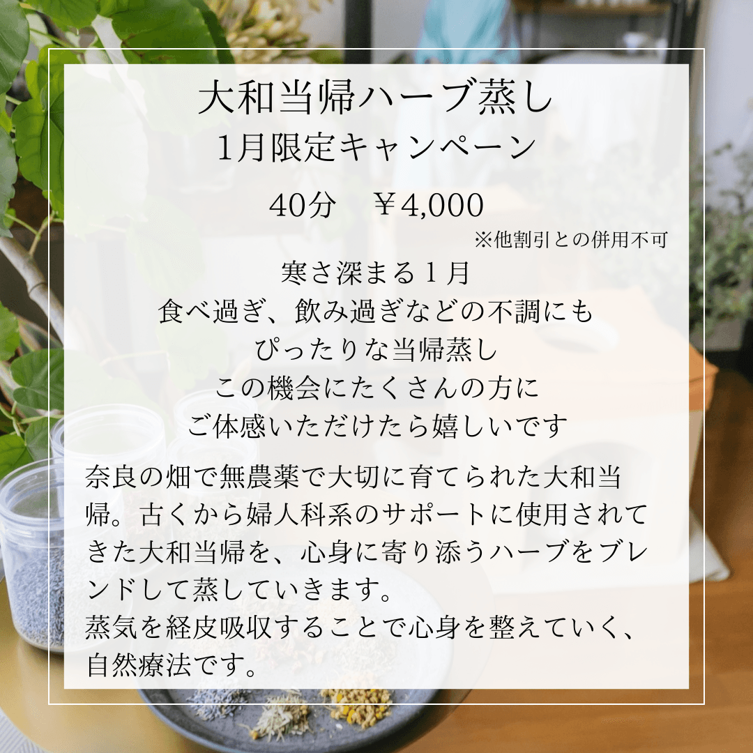 【1月限定】大和当帰ハーブ蒸しキャンペーン  40分