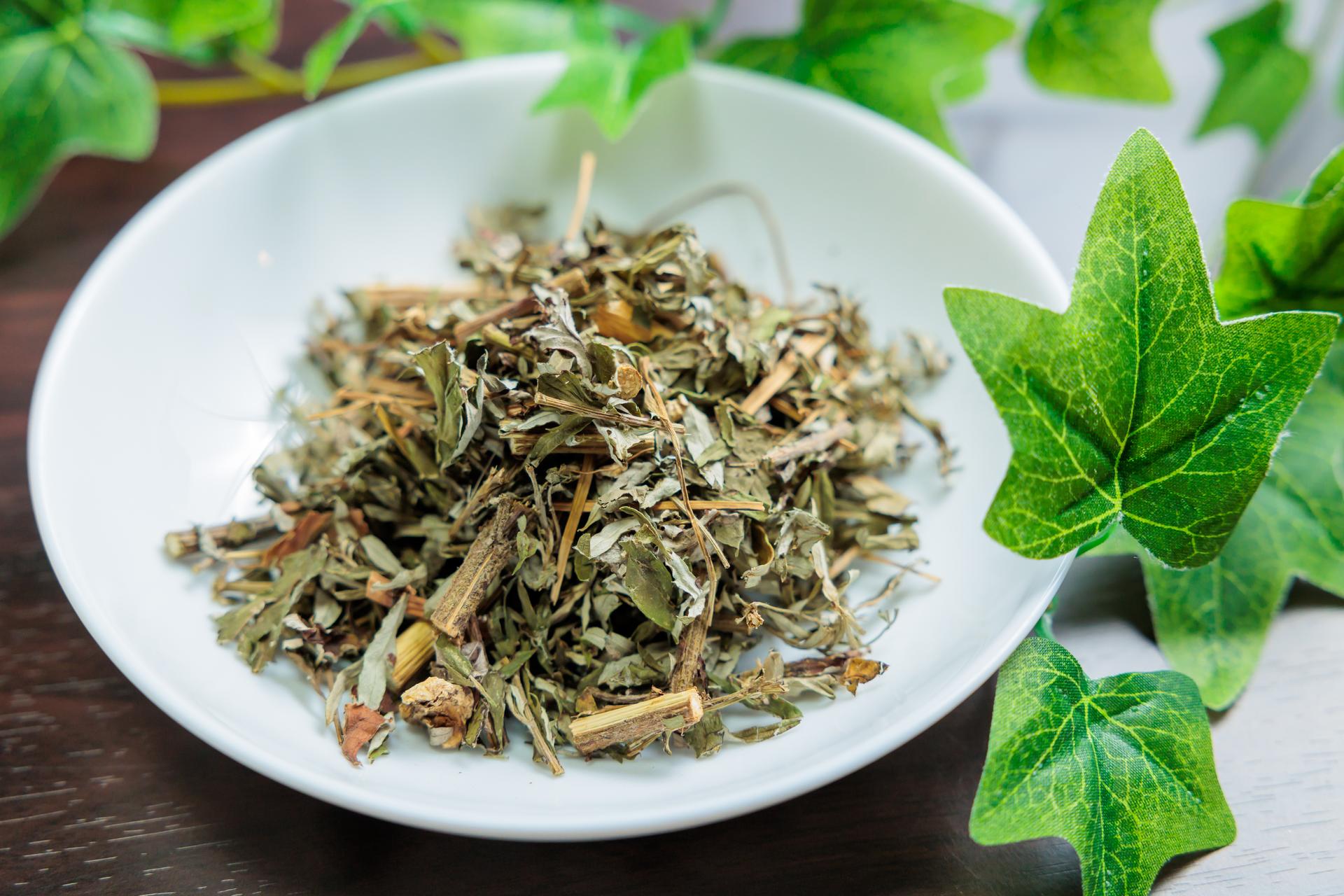 【4月末まで】半身リンパマッサージ(施術は30分) 通常料金5,000円