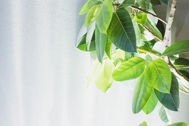 【全員OK】【harumi/hiroko限定】今話題の耳つぼジュエリー×tsukiの酵素浴のセット 40分