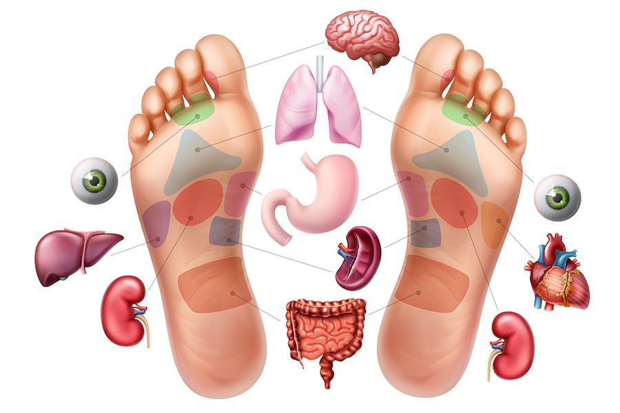 組み合わせコース(足湯+足ツボ+ふくらはぎマッサージ+頭+肩) 45分