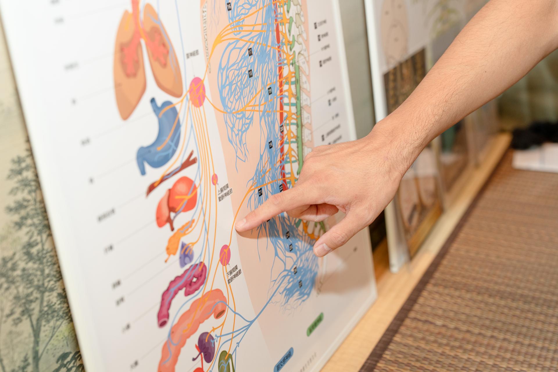 《2回目限定！》内側から変える！栄養バランスチェック＋オーダーメイド全身施術 60分　￥7000→￥4500