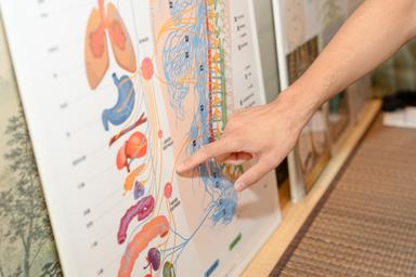 《2回目限定！》内側から変える！栄養バランスチェック＋オーダーメイド全身施術 60分　￥7000→￥4500