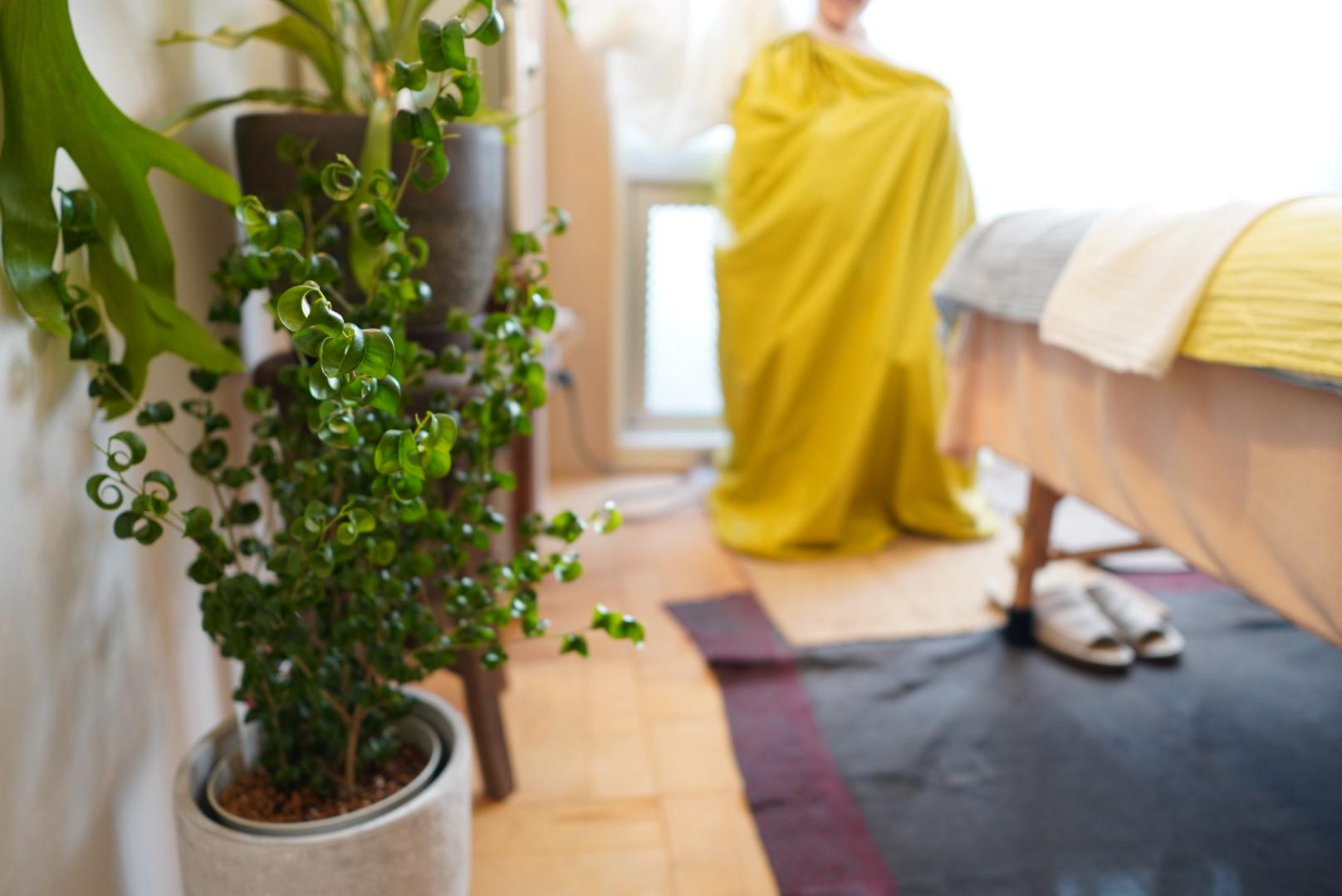 【全員OK】【温活・冷え・すっきりとしたボディに】よもぎ蒸し 35分 通常料金6,000円