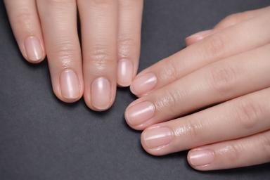 スペシャルコース