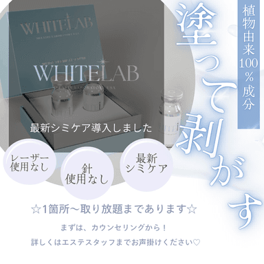 1箇所からOK韓国最新しみケア☆ホワイトラボ