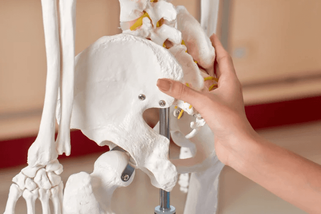 【初回限定】骨盤調整30分 通常料金4,000円