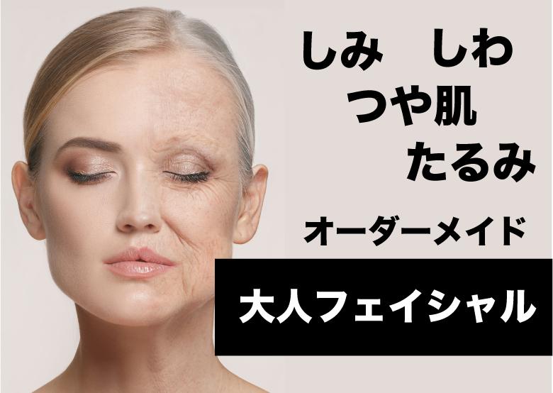 目指せノーファンデ【4，50代からのオーダーメイド大人フェイシャル】お悩み別マシン70分～90分16500→10000
