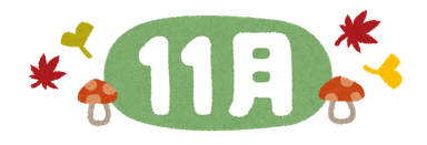 11月キャンペーンコース