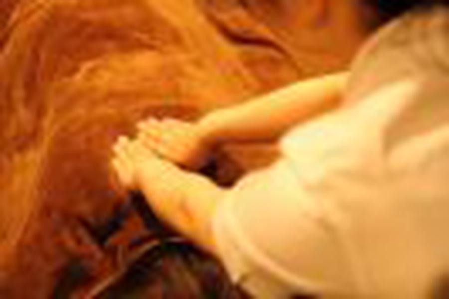 60分コース（マッサージのみ）